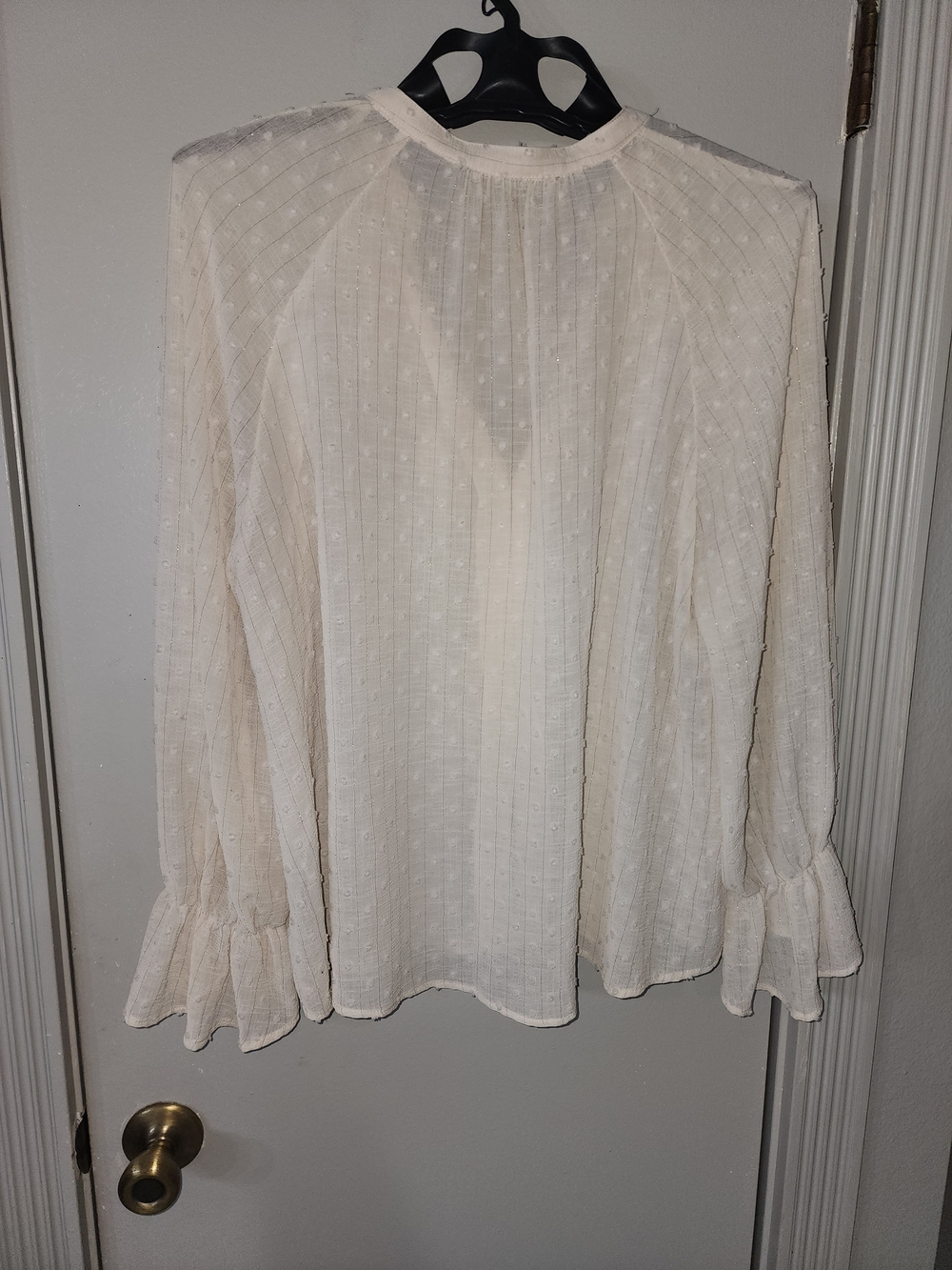 Zara Ivory Ruffle Front Sheer Blouse - Picture 8 of 12